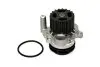 Помпа води Audi A3-A6/Seat/Skoda Octavia/VW Golf/Passat/Caddy/Mitsubishi Lancer 1.9-2.0TDI 00- (19z) ASAM 99967 (фото 1)