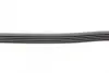 Ремінь генератора поліклиновий CONTINENTAL Contitech 5PK1150 (фото 2)