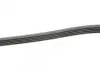 Пас поліклиновий Opel Vectra C 1.6/1.8 05-08/Chevr Contitech 5PK1570 (фото 2)