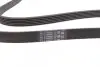 Ремінь поліклиновий Citroen Berlingo / Jumpy / Peugeot Expert / Partner 1.9 / 2.0 D / HDi 98-15 / VW LT / T4 2.5 TDI 95-06 Contitech 6 PK 1750 (фото 2)