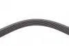 Ремінь поліклиновий Citroen Berlingo / Jumpy / Peugeot Expert / Partner 1.9 / 2.0 D / HDi 98-15 / VW LT / T4 2.5 TDI 95-06 Contitech 6 PK 1750 (фото 4)