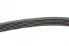 Ремінь генератора поліклиновий CONTINENTAL Contitech 6PK2215 (фото 2)