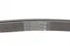 Ремінь генератора поліклиновий CONTINENTAL Contitech 6PK2264 (фото 3)