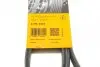Ремінь генератора поліклиновий CONTINENTAL Contitech 6PK2475 (фото 6)