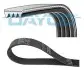 Ремінь гідропідсилювача DAYCO 4PK900 (фото 2)
