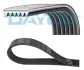 Ремінь поліклиновий Berlingo / Jumper / Boxer / Expert / Partner 2.0HDI Scudo 2.0JTD / Ducato 2.0JTD 01- (ALT, AC) DAYCO 6PK1468 (фото 1)