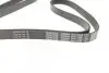 Ремінь генератора поліклиновий DAYCO 6PK1750 (фото 2)