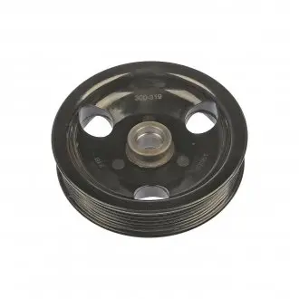 Шкив насоса гидроусилителя руля Dorman 300319