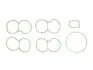 Комплект прокладок, впускний колектор OPEL/FIAT 2.0CDTI 08-A20DT/A20DTC/A20DTL/Z20DT (ELRING 340.470 (фото 1)