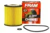 Фільтр масляний FRAM CH9641 (фото 1)