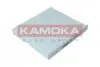Фільтр повітря салону KAMOKA F418501 (фото 1)