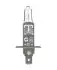 Лампочка H1 12V Extra Light +50% NEOLUX N448EL (фото 2)