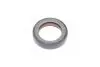 Сальник двигуна N/FRONT VAG 32X47X10 PTFE Payen NA5124 (фото 1)
