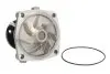 Помпа водяная THERMOTEC D1G042TT (фото 1)